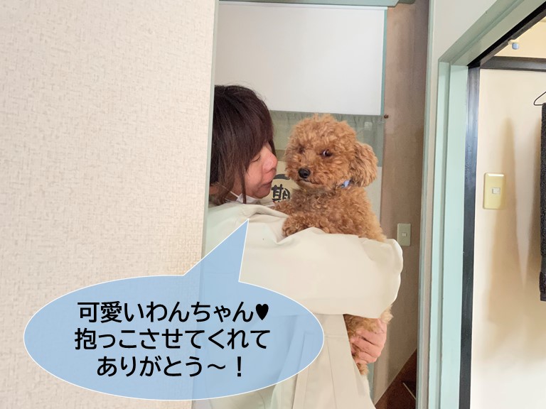 貝塚市のわんちゃん