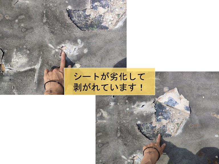 貝塚市のシート防水が剥がれています
