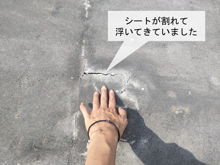 貝塚市のシート防水が浮いてきています