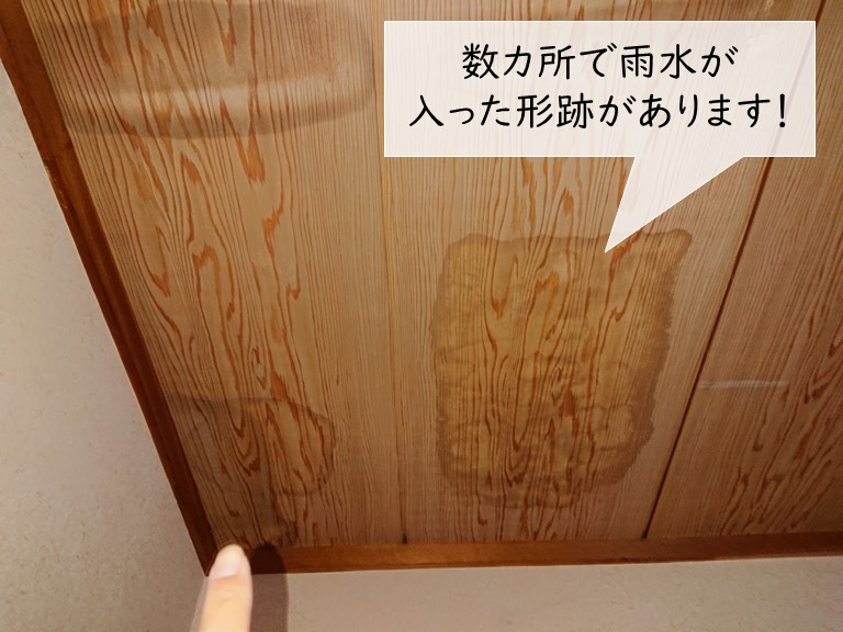 貝塚市の和室の天井に雨染み