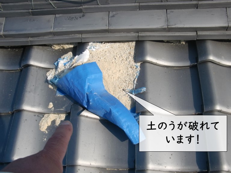 貝塚市の土のうが破れています