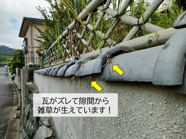 貝塚市の塀の瓦がズレています