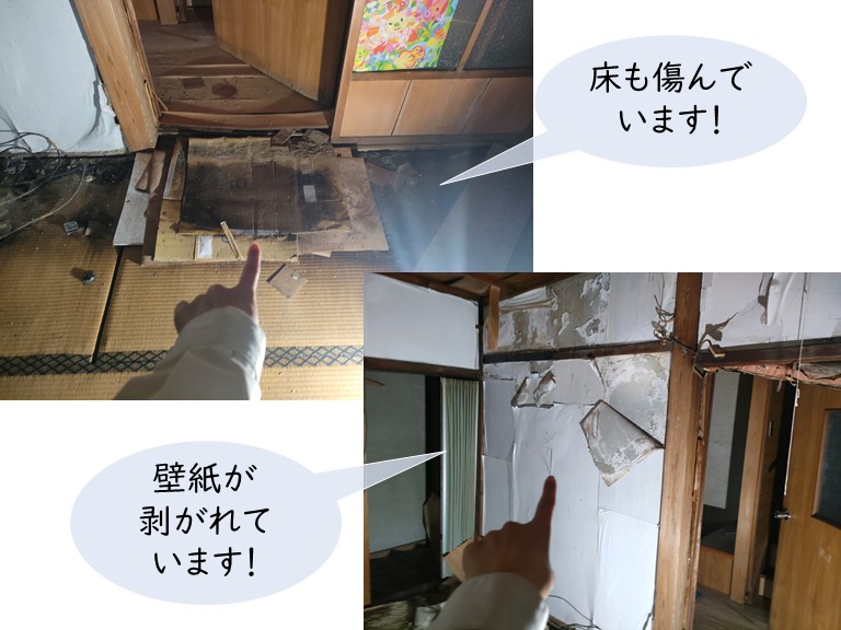 貝塚市の壁紙が剥がれています