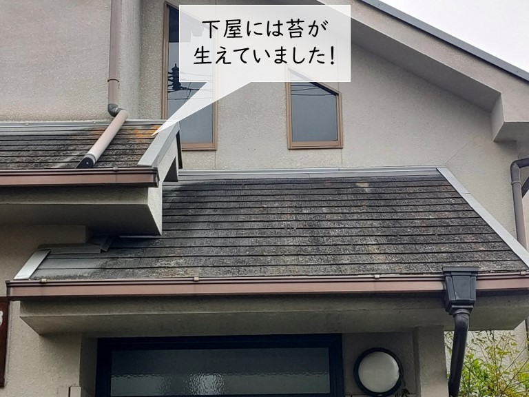 貝塚市の屋根に苔が生えています