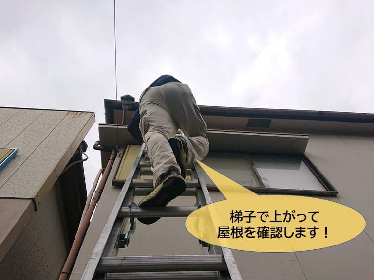 貝塚市の屋根の調査