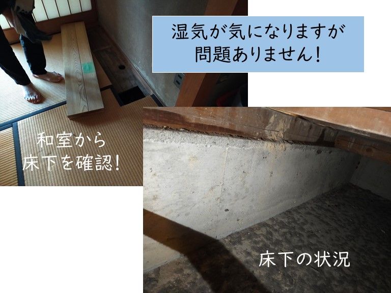 貝塚市の床下を確認