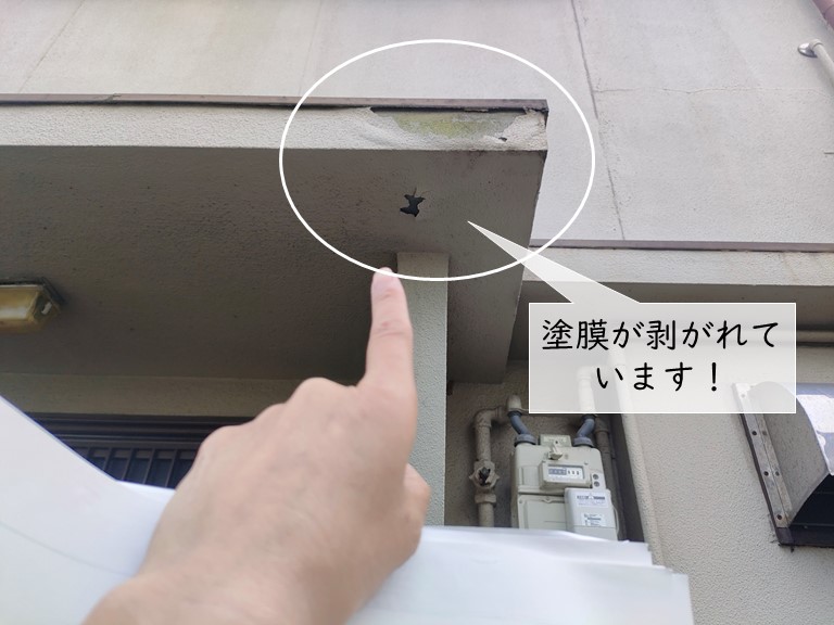 貝塚市の玄関庇の塗膜が剥がれています