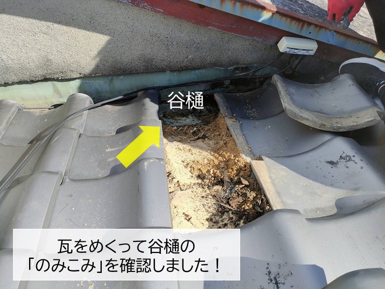 貝塚市の瓦をめくって谷樋を確認