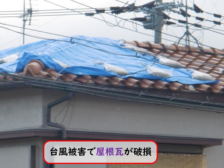 貝塚市台風被害屋根瓦破損