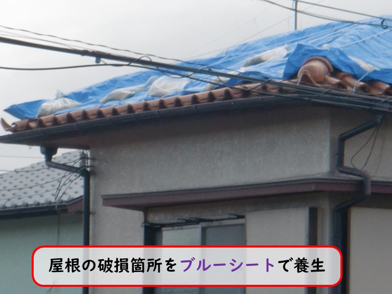 貝塚市台風被害屋根養生