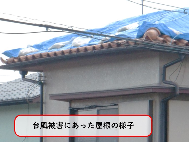 貝塚市台風被害現場