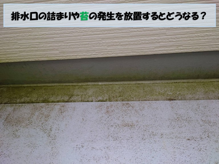 貝塚市排水口の詰まりや苔を放置