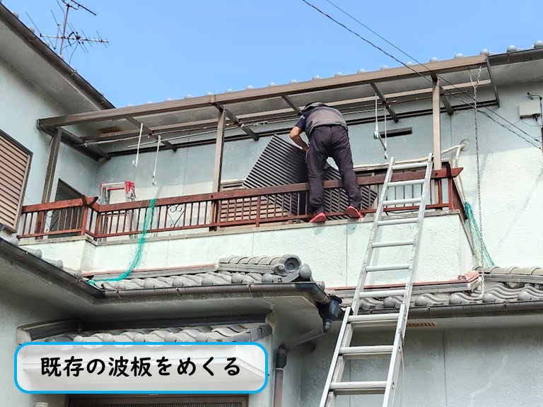 貝塚市既存の波板をめくる