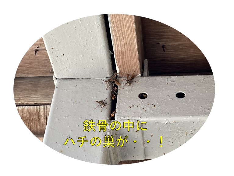 鉄骨の中にハチの巣が！