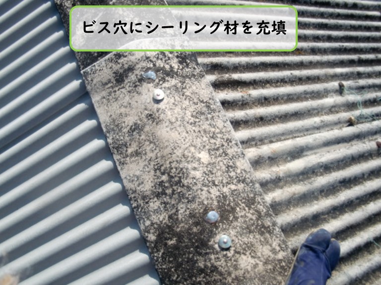 阪南市でビス穴にシーリング材を充填