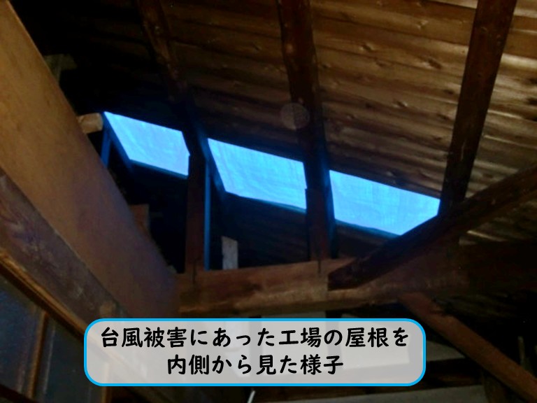阪南市で台風被害にあった工場の屋根の屋根の内側