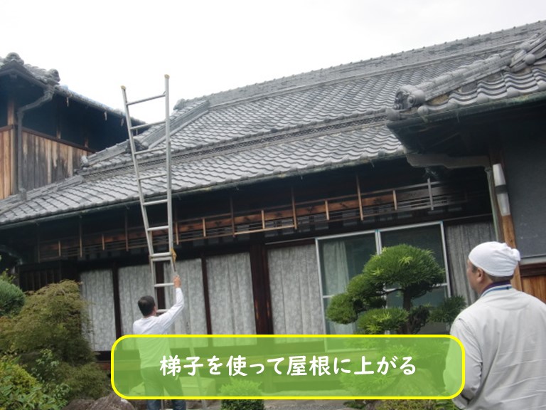 阪南市で梯子を使って屋根に上がる