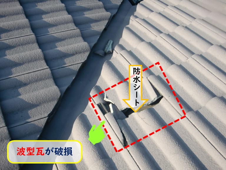 阪南市で波型瓦が破損