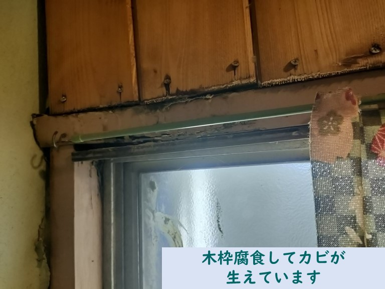 阪南市で窓枠にカビ