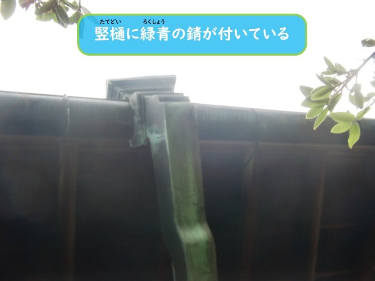 阪南市で竪樋に緑青あり