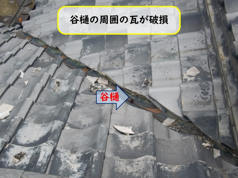 阪南市で谷樋の割れた周囲の瓦を交換