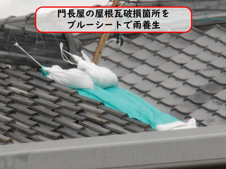 阪南市で門がわらの屋根を雨養生