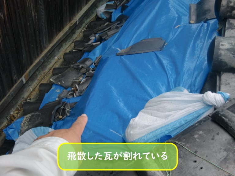 阪南市で飛散した瓦が割れている