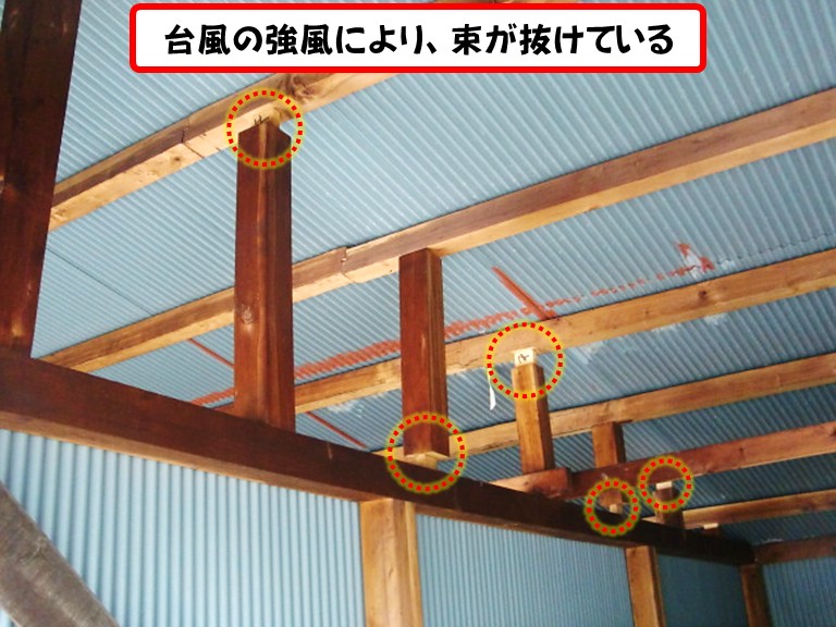 阪南市台風の強風により、束が抜けている