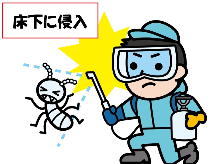 阪南市床下侵入