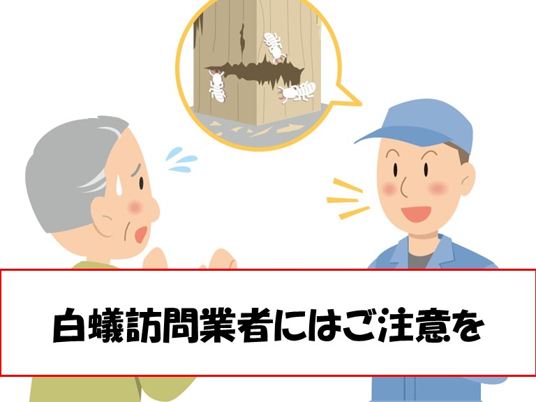 阪南市白蟻訪問業者