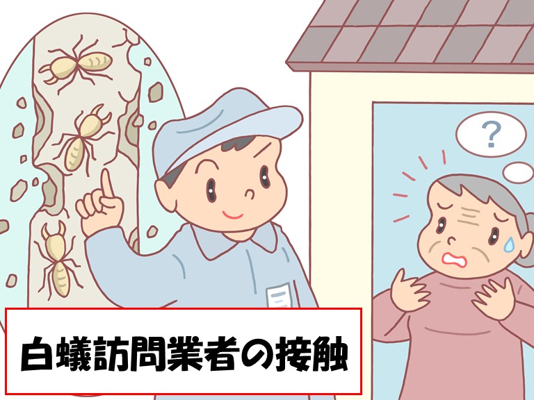 阪南市白蟻訪問業者接触