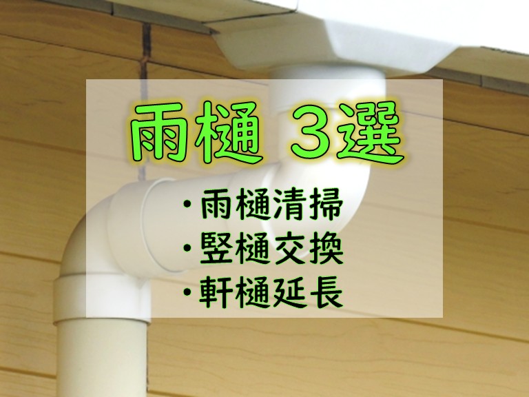 雨樋3選 ・雨樋清掃・竪樋交換・軒樋延長
