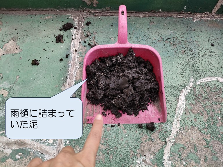 雨樋に詰まっていた泥
