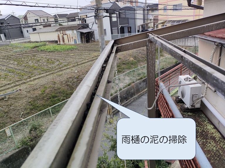 雨樋の泥の掃除