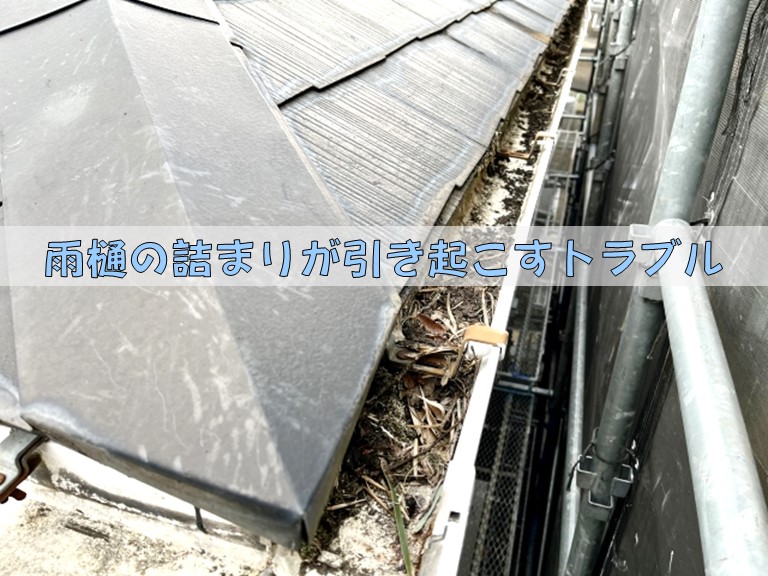 雨樋の詰まりが引き起こすトラブル