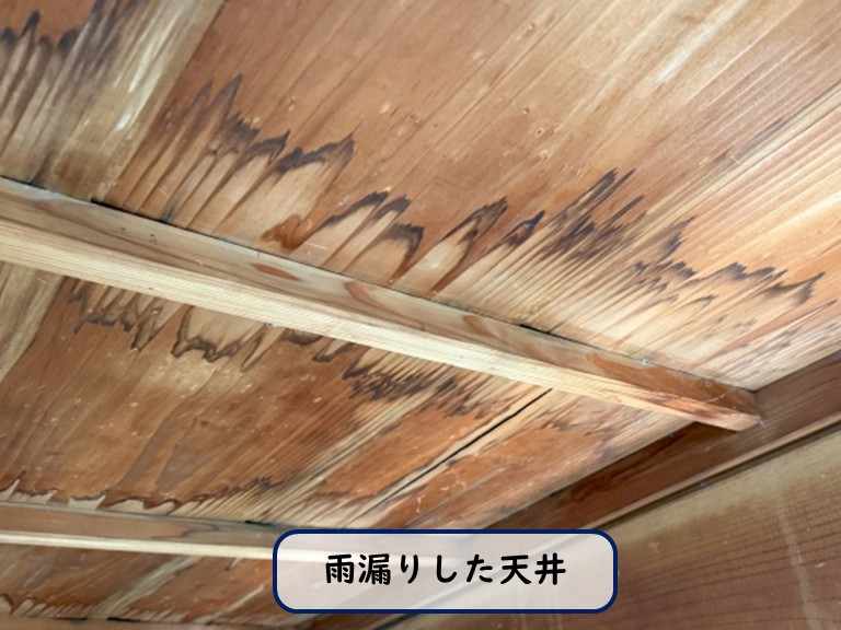 雨漏りした天井の様子