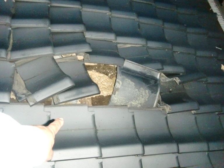 高石市 屋根瓦ビフォー