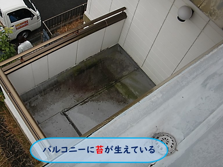 高石市でバルコニーに苔が生えている