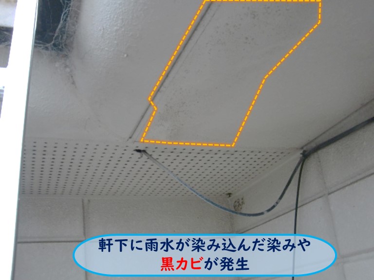 高石市で雨水が染み込んだ染みや黒カビが発生