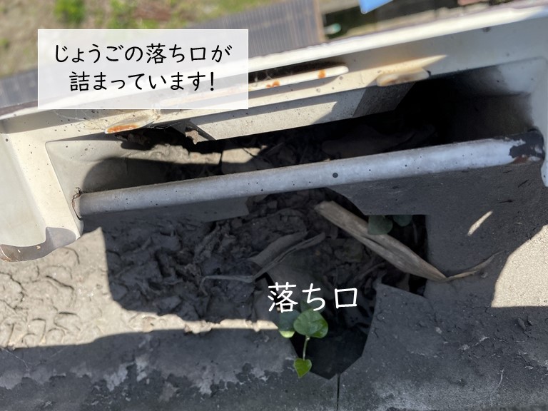 高石市のじょうごの落ち口が詰まっていました