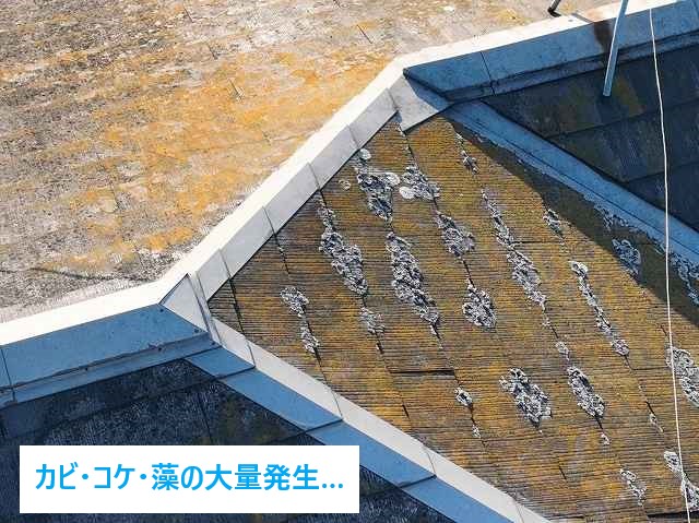 屋根塗装・外壁塗装　長持ちリフォーム