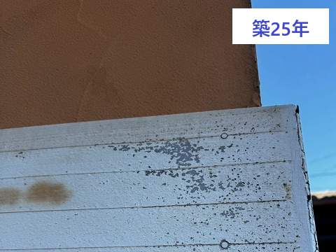 外壁の塗り替え　モルタル外壁の塗装