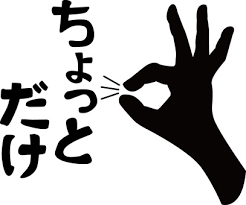 ちょっとした屋根工事もお任せください♪