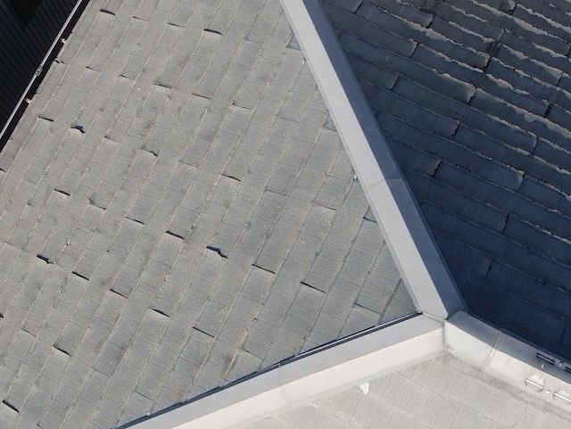 ニチハパミール