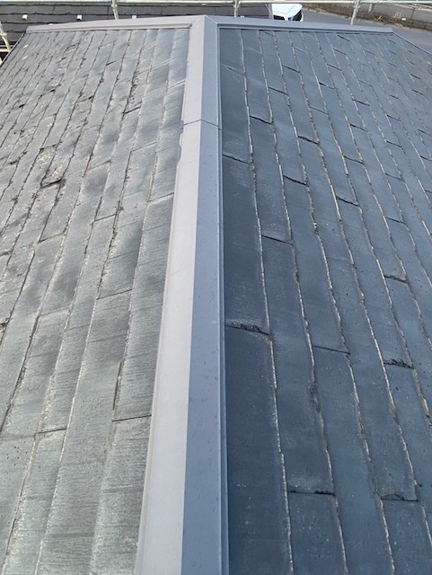 ニチハパミール