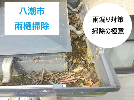 雨樋掃除　雨漏り対策・掃除の極意教えます！