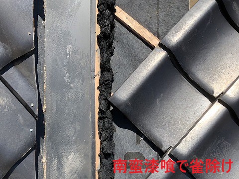 南蛮漆喰で雀除け