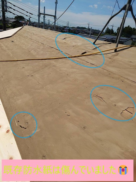既存防水紙劣化