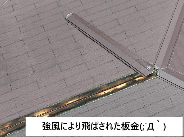 屋根修理　棟板金が強風で飛ばされてしまった…