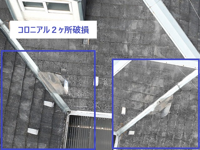 ちょっとした屋根工事もお任せください♪